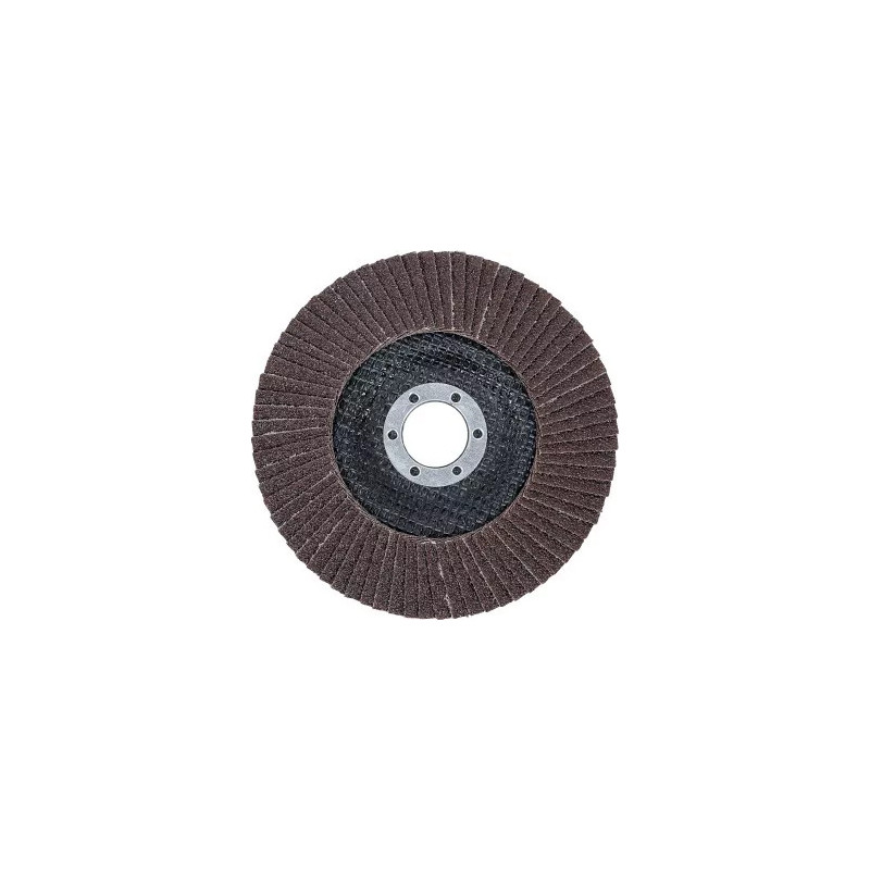 Disque à lamelles | Ø 125 mm | K 60 Disque à lamelles | Ø 125 mm | K 60
