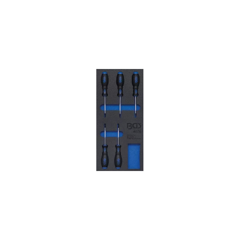 Insert de servante d'atelier 1/3 : Tournevis profil T (pour Torx) | 5 pièces Insert de servante d'atelier 1/3 : Tournevis profil T (pour Torx) | 5 pièces