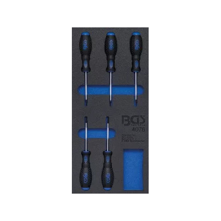 Insert de servante d'atelier 1/3 : Tournevis profil T (pour Torx) | 5 pièces