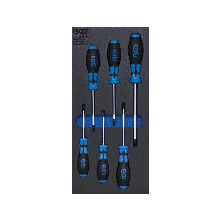 Insert de servante d'atelier 1/3 : Tournevis profil T (pour Torx) | 6 pièces