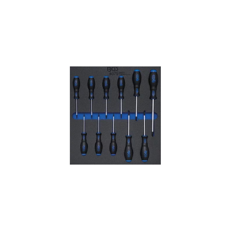 Insert de servante d'atelier 2/3 : Tournevis | Profil T (pour Torx) T6 - T40 | 11 pièces