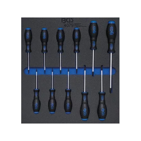 Insert de servante d'atelier 2/3 : Tournevis | Profil T (pour Torx) T6 - T40 | 11 pièces