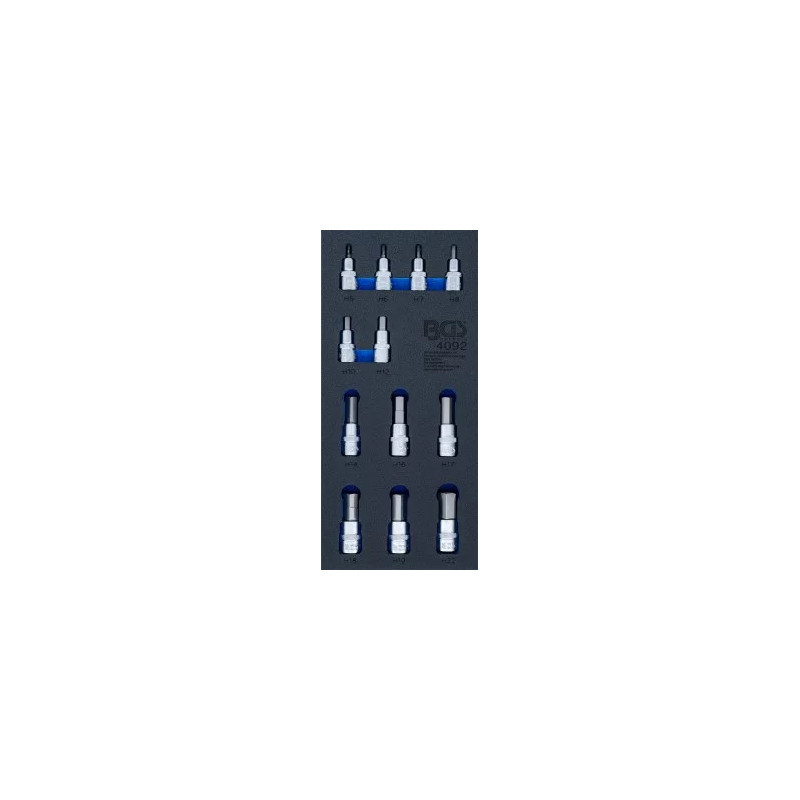 Insert de servante d'atelier 1/3 : Jeu de douilles à embouts | six pans intérieurs | 12,5 (1/2") |12 pièces Insert de servante d'atelier 1/3 : Jeu de douilles à embouts | six pans intérieurs | 12,5 (1/2") |12 pièces