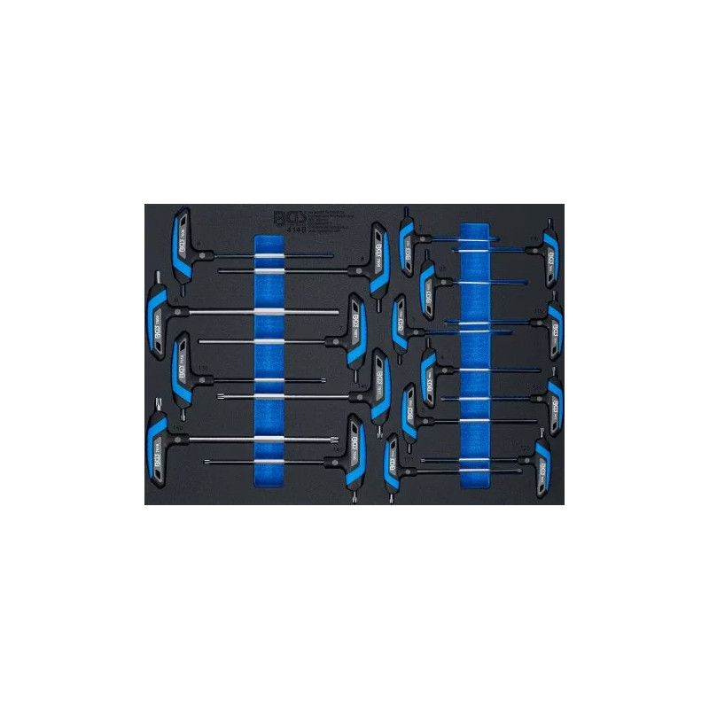 Insert de servante d’atelier 3/3 : Jeu de tournevis avec poignée en T | six pans femelle profil T (pour Torx) | 18 pcs. Insert de servante d’atelier 3/3 : Jeu de tournevis avec poignée en T | six pans femelle profil T (pour Torx) | 18 pcs.