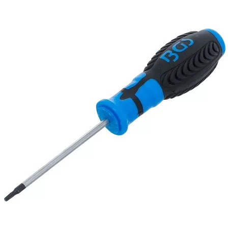 Tournevis | profil T (pour Torx) T10 | longueur de la lame 80 mm