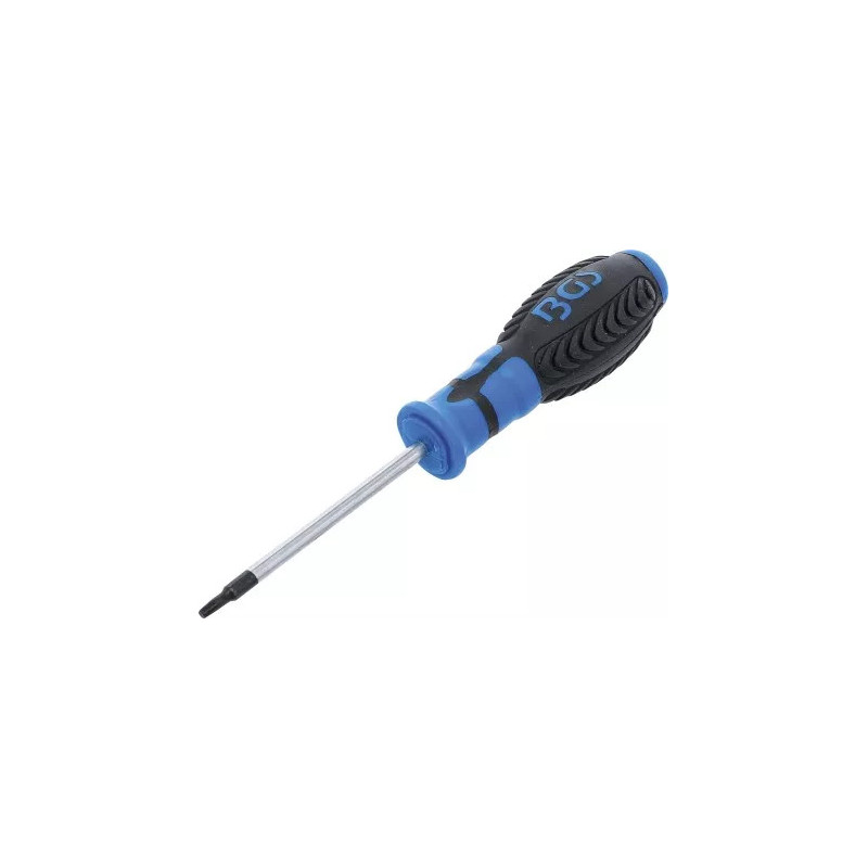 Tournevis | profil T (pour Torx) T15 | longueur de la lame 80 mm Tournevis | profil T (pour Torx) T15 | longueur de la lame 80 mm