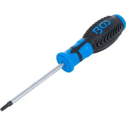 Tournevis | profil T (pour Torx) T25 | longueur de la lame 100 mm