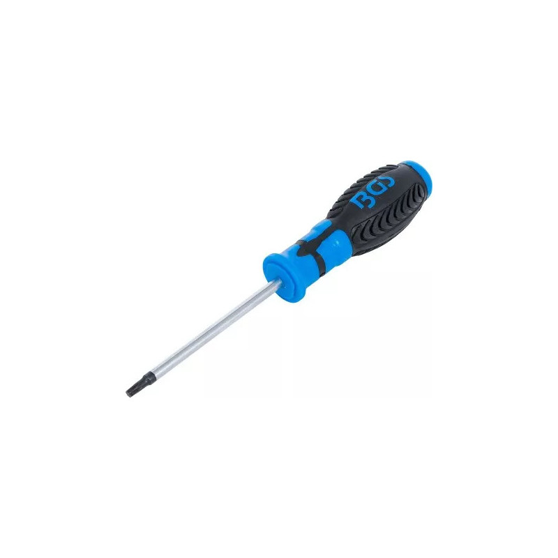Tournevis | profil T (pour Torx) T25 | longueur de la lame 100 mm Tournevis | profil T (pour Torx) T25 | longueur de la lame 100 mm