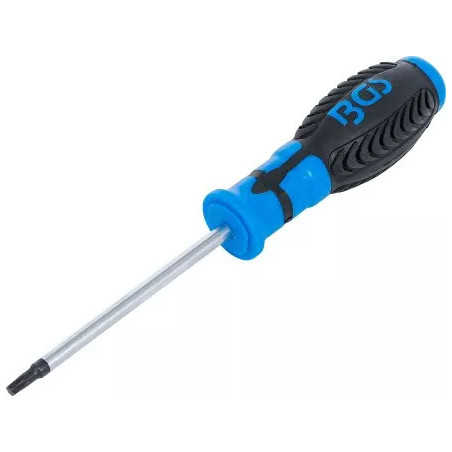 Tournevis | profil T (pour Torx) T25 | longueur de la lame 100 mm