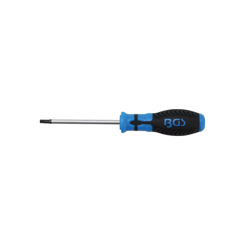 Tournevis | profil T (pour Torx) T27 | longueur de la lame 100 mm Tournevis | profil T (pour Torx) T27 | longueur de la lame 100 mm