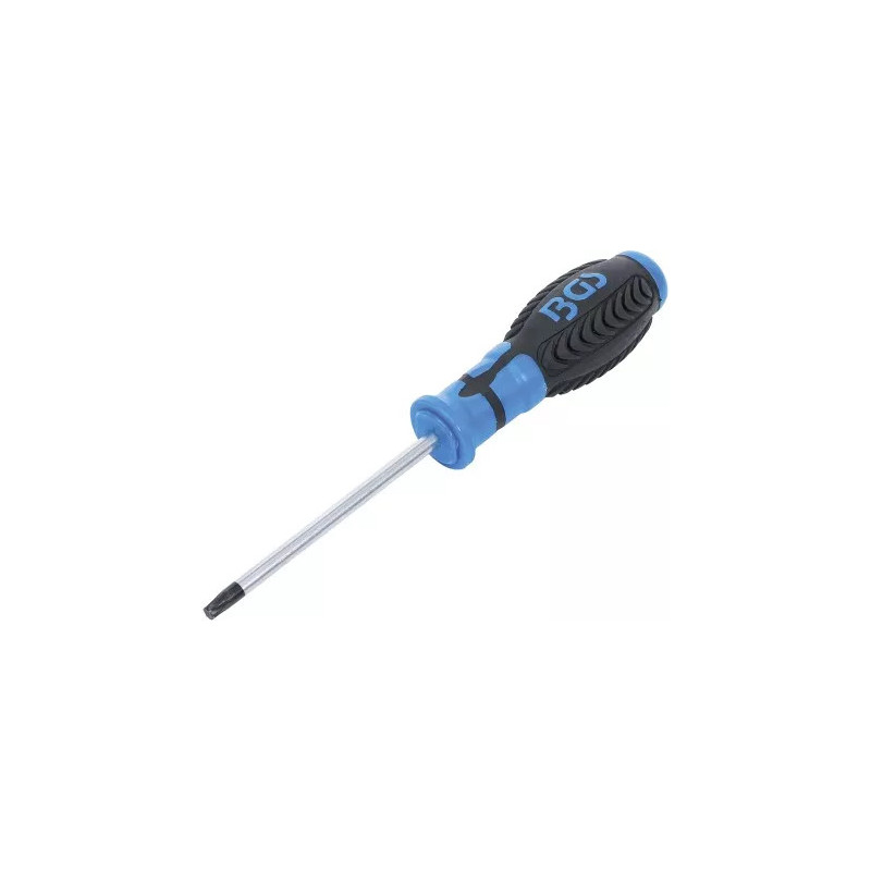 Tournevis | profil T (pour Torx) T30 | longueur de la lame 100 mm Tournevis | profil T (pour Torx) T30 | longueur de la lame 100 mm