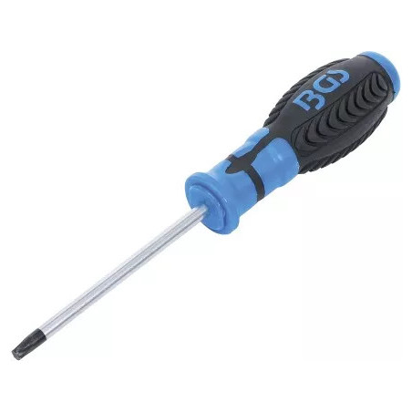 Tournevis | profil T (pour Torx) T30 | longueur de la lame 100 mm