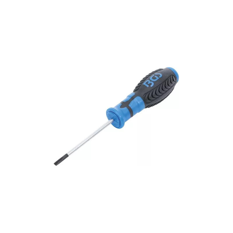 Tournevis | fente 4 mm | longueur de la lame 80 mm Tournevis | fente 4 mm | longueur de la lame 80 mm