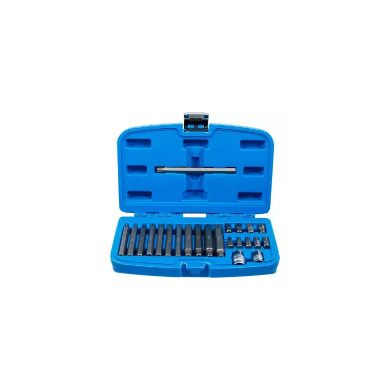 Jeu d'embouts | 10 mm (3/8") | Profil cannelé (pour Ribe) | 22 pièces Jeu d'embouts | 10 mm (3/8") | Profil cannelé (pour Ribe) | 22 pièces
