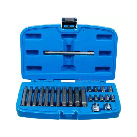 Jeu d'embouts | 10 mm (3/8") | Profil cannelé (pour Ribe) | 22 pièces