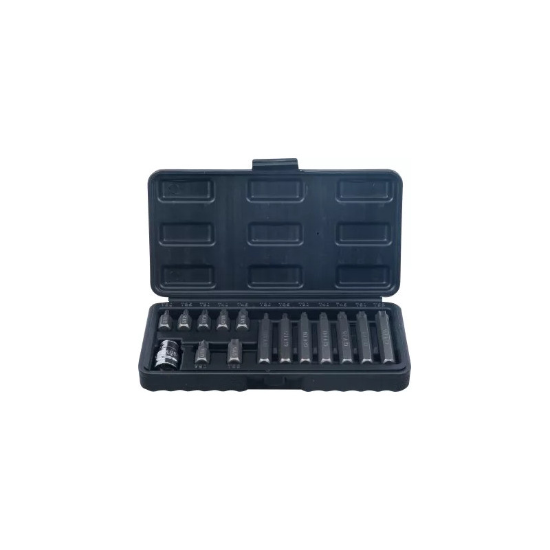 Jeu d’embouts | 10 mm (3/8") | profil en T (pour Torx) | 15 pièces Jeu d’embouts | 10 mm (3/8") | profil en T (pour Torx) | 15 pièces