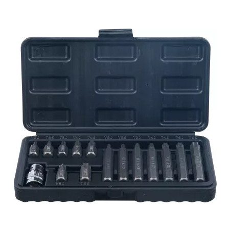 Jeu d’embouts | 10 mm (3/8") | profil en T (pour Torx) | 15 pièces