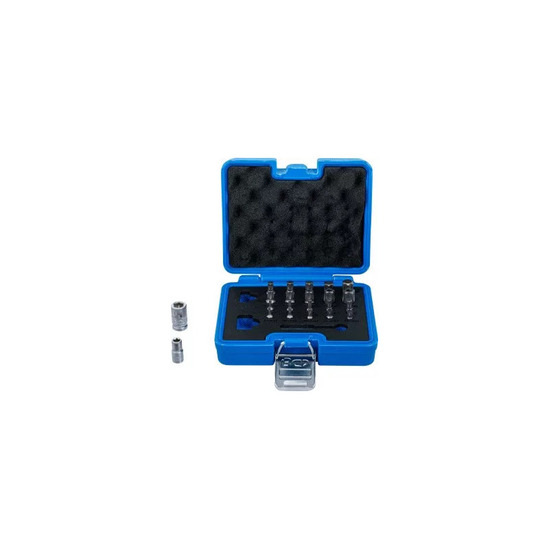 Jeu d’embouts | Profil TS (pour Torx Plus) | 23 pcs. Jeu d’embouts | Profil TS (pour Torx Plus) | 23 pcs.