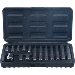 Jeu d’embouts | 10 mm (3/8") | | six pans intérieurs | 15 pièces