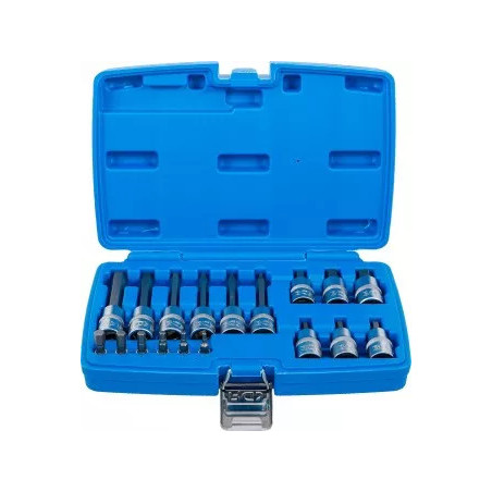 Jeu de douilles à embouts | 6,3 mm (1/4") / 12,5 mm (1/2") | six pans intérieurs | 18 pièces