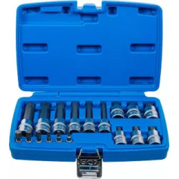 Jeu de douilles à embouts | 6,3 mm (1/4") / 12,5 mm (1/2") | Denture multiple intérieure (pour XZN) | 18 pièces