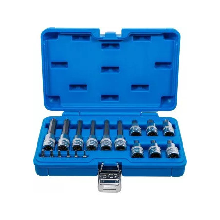 Jeu de douilles à embouts | 6,3 mm (1/4") / 12,5 mm (1/2") | Profil T (pour Torx Plus) | 18 pièces