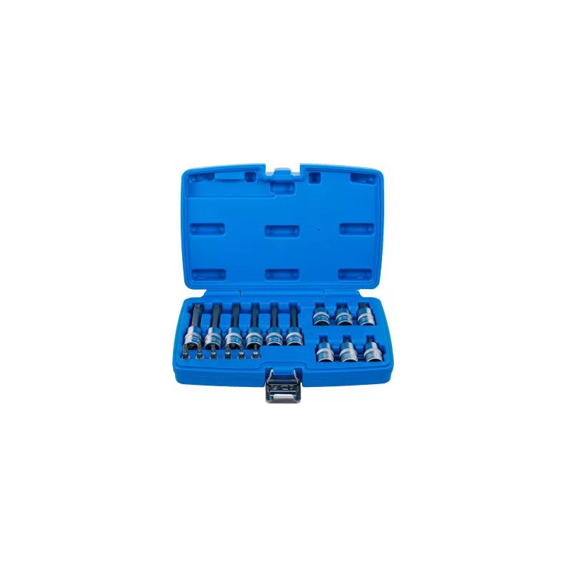 Jeu de douilles à embouts | 6,3 mm (1/4") / 12,5 mm (1/2") | Profil T (pour Torx) avec perçage | 18 pièces Jeu de douilles à embouts | 6,3 mm (1/4") / 12,5 mm (1/2") | Profil T (pour Torx) avec perçage | 18 pièces