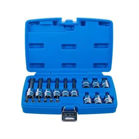 Jeu de douilles à embouts | 6,3 mm (1/4") / 12,5 mm (1/2") | Profil T (pour Torx) avec perçage | 18 pièces