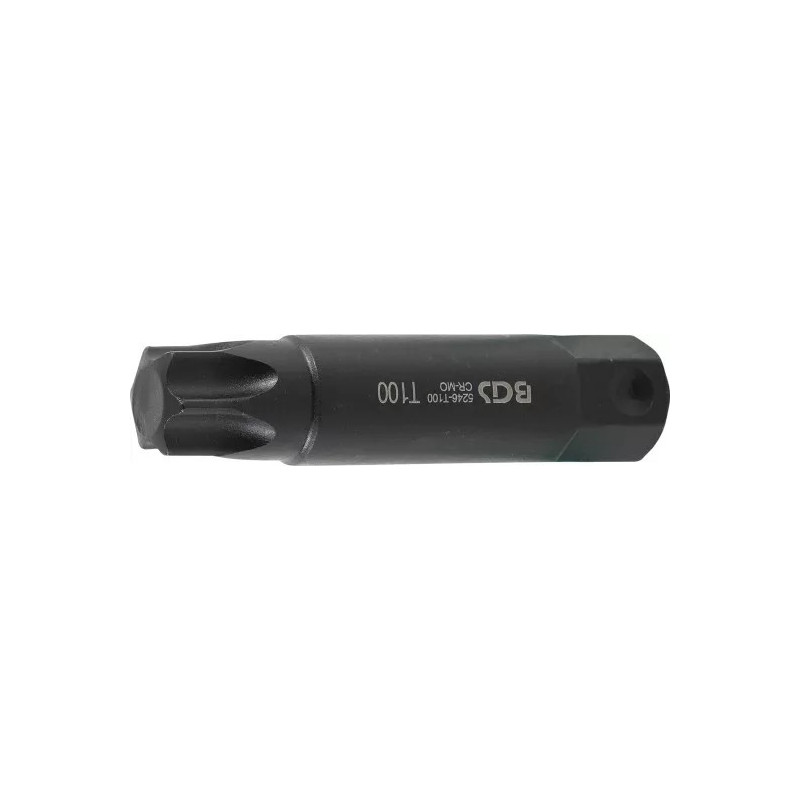 Embout | Longueur 100 mm | 22 mm | profil T (pour Torx) T100