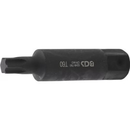 Embout | Longueur 100 mm | 22 mm | profil T (pour Torx) T60