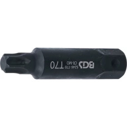Embout | Longueur 100 mm | 22 mm | profil T (pour Torx) T70