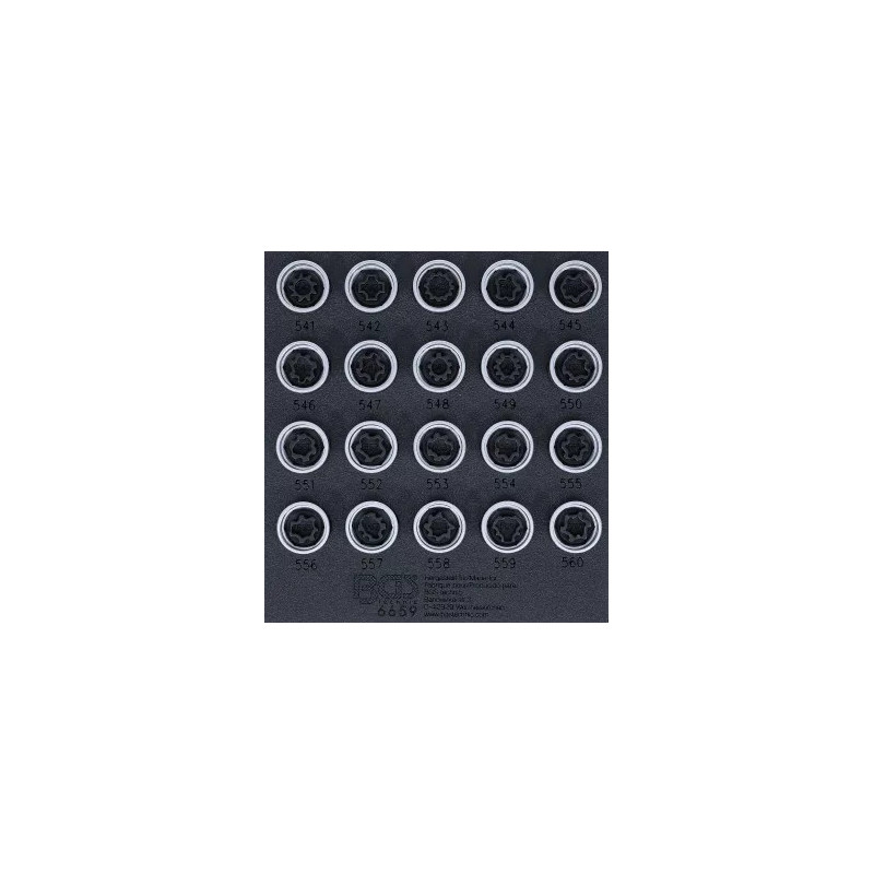 Insert de servante d'atelier 1/6 : Jeu d’outils pour écrous antivol pour VAG | 20 pièces Insert de servante d'atelier 1/6 : Jeu d’outils pour écrous antivol pour VAG | 20 pièces