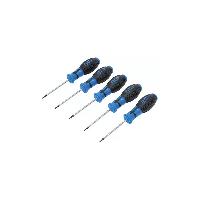 Jeu de tournevis | Profil T (pour Torx) avec perçage | T6 - T10 | 5 pièces Jeu de tournevis | Profil T (pour Torx) avec perçage | T6 - T10 | 5 pièces