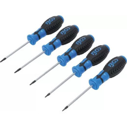 Jeu de tournevis | Profil T (pour Torx) T6 - T10 | 5 pièces