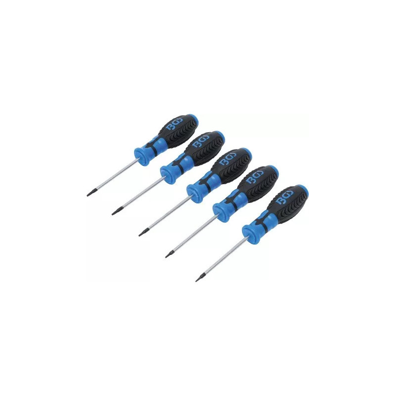 Jeu de tournevis | Profil T (pour Torx) T6 - T10 | 5 pièces