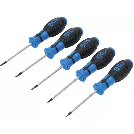 Jeu de tournevis | Profil T (pour Torx) T6 - T10 | 5 pièces