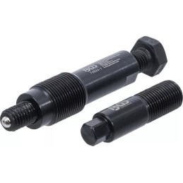 Outils de démontage de poulie de vilebrequin | pour Ford EcoBlue 2.0 L