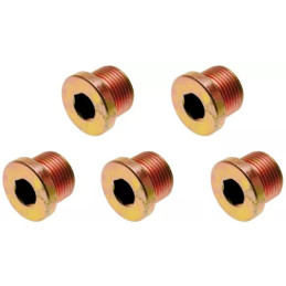 Bouchons de vidange | pour Art. 126 | M17 x 1,5 mm | 5 pièces
