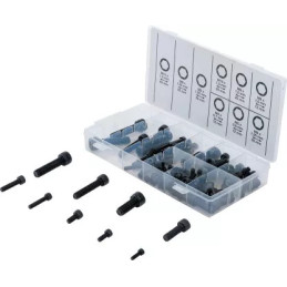 Assortiment de vis à tête cylindrique | hexagone femelle | 106 pièces