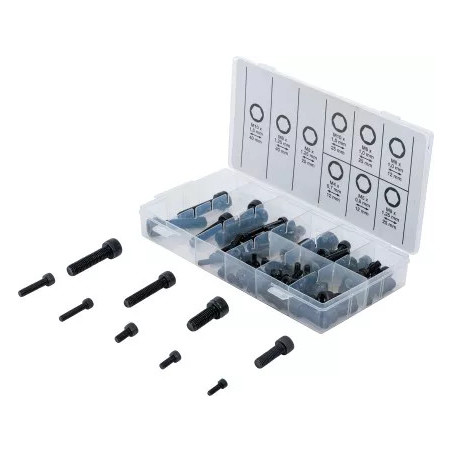 Assortiment de vis à tête cylindrique | hexagone femelle | 106 pièces