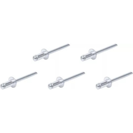 Assortiment de rivets pop | Ø 4,8 mm | 50 pièces