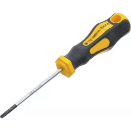 Tournevis | profil T (pour Torx) T10 | longueur de la lame 60 mm