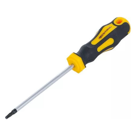 Tournevis | profil T (pour Torx) T15 | longueur de la lame 100 mm