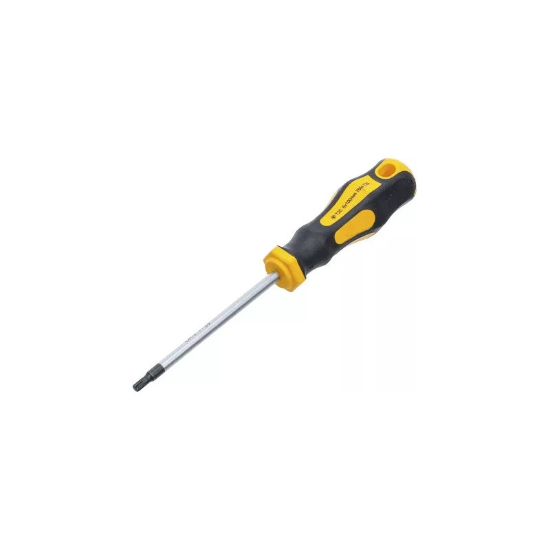 Tournevis | profil T (pour Torx) T25 | longueur de la lame 100 mm Tournevis | profil T (pour Torx) T25 | longueur de la lame 100 mm
