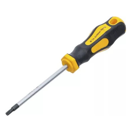Tournevis | profil T (pour Torx) T25 | longueur de la lame 100 mm