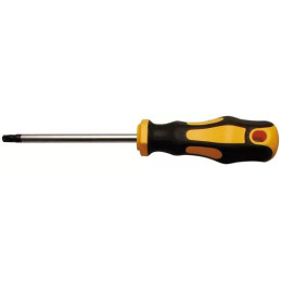 Tournevis | profil T (pour Torx) T27 | longueur de la lame 100 mm