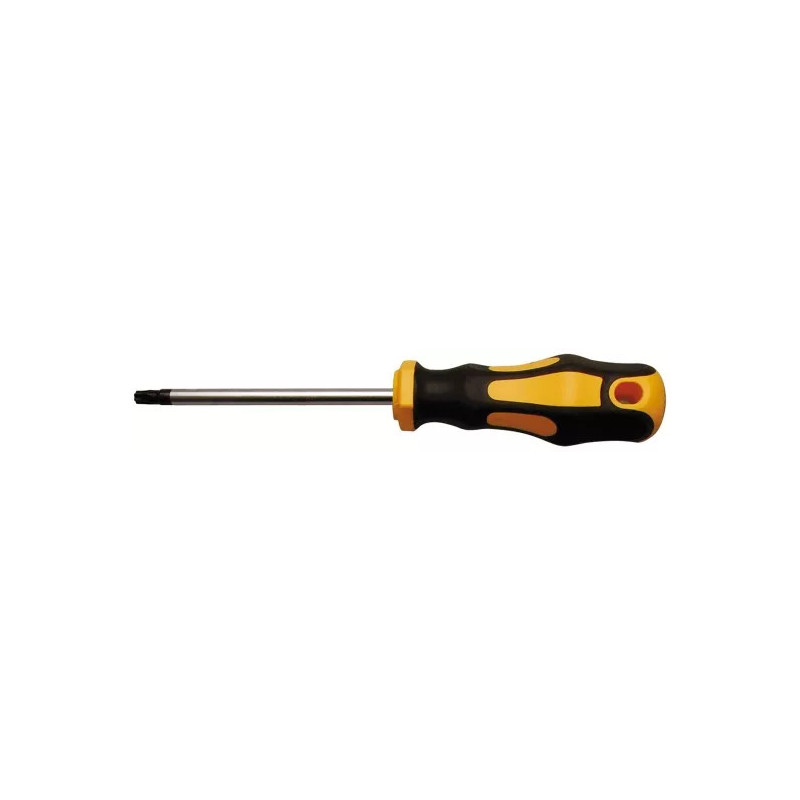Tournevis | profil T (pour Torx) T27 | longueur de la lame 100 mm Tournevis | profil T (pour Torx) T27 | longueur de la lame 100 mm