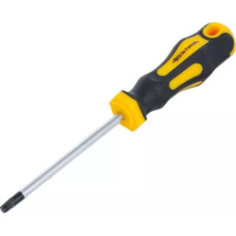 Tournevis | profil T (pour Torx) T30 | longueur de la lame 100 mm