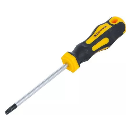 Tournevis | profil T (pour Torx) T30 | longueur de la lame 100 mm