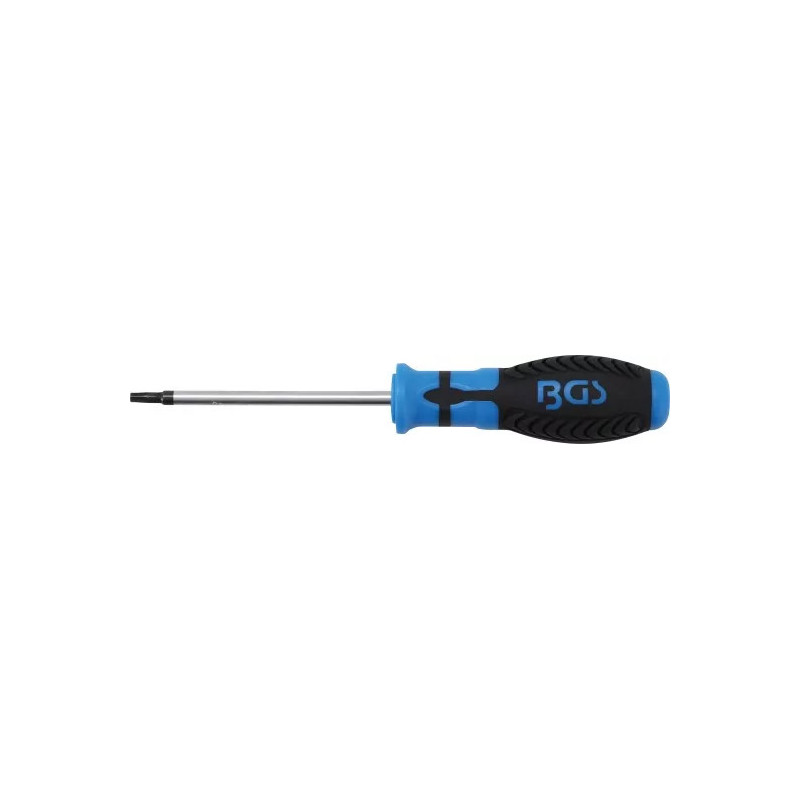 Tournevis profil T (pour Torx) avec perçage T25 | longueur de la lame 100 mm Tournevis profil T (pour Torx) avec perçage T25 | longueur de la lame 100 mm